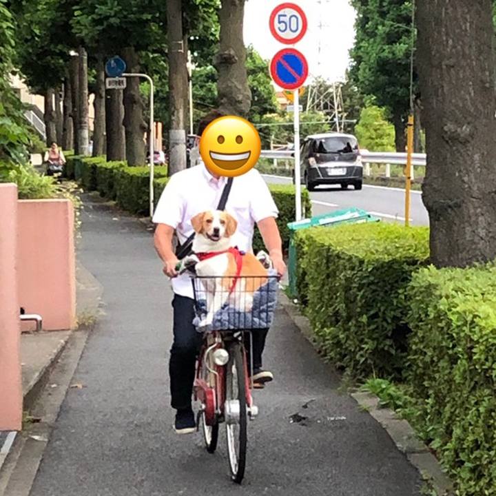 6251b99d d51c 4835 b34b 3aed45593ef0 1624631424573