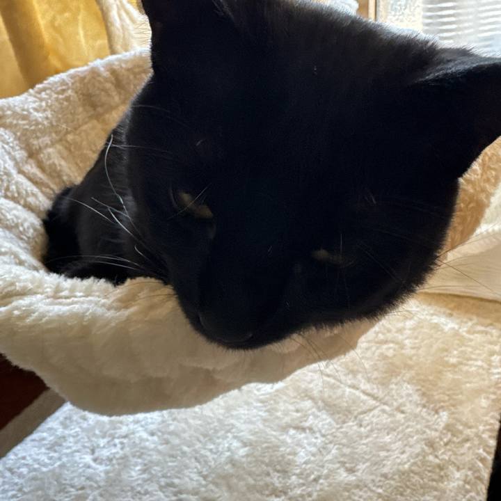 6252095e e614 4f08 8baa 01474b543f7a 1742302542919