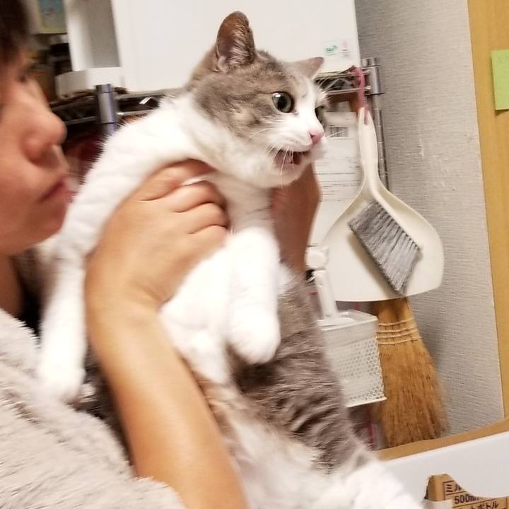 62525cb5 e009 49bb abbd ca4ee3c1eb4a 1689307326276