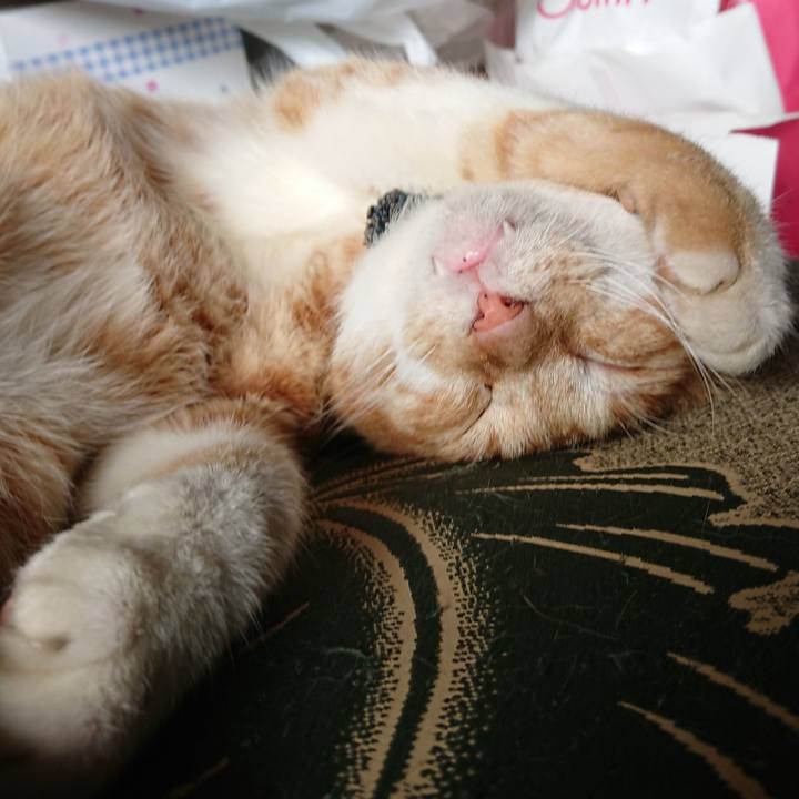 62527d55 3c57 416d ae23 370e2060b0c7 1567311711398