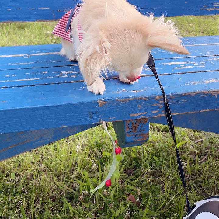 6252afd7 6bb1 43c2 97dd 0573056efbc2 1717852186161