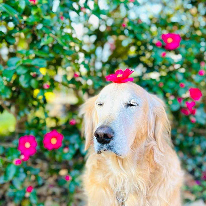 6252df9c 1bcb 4f4b aa80 e121ea550c88 1767008072997