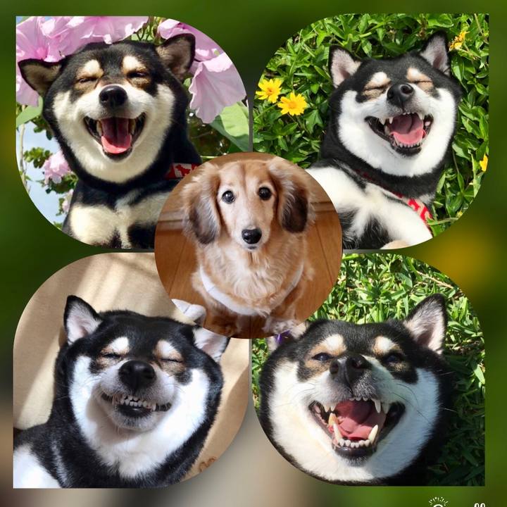 6252ff15 e81f 44ce b53e bca44956d422 1509801716648