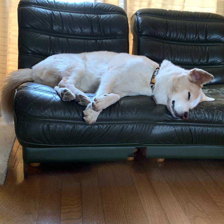 62530526 9619 47a4 9324 4f696ffbabc8 1598759944730