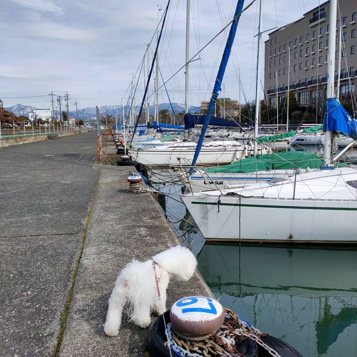 62530759 428a 4937 8ce1 5dbcae58518a 1770722132842