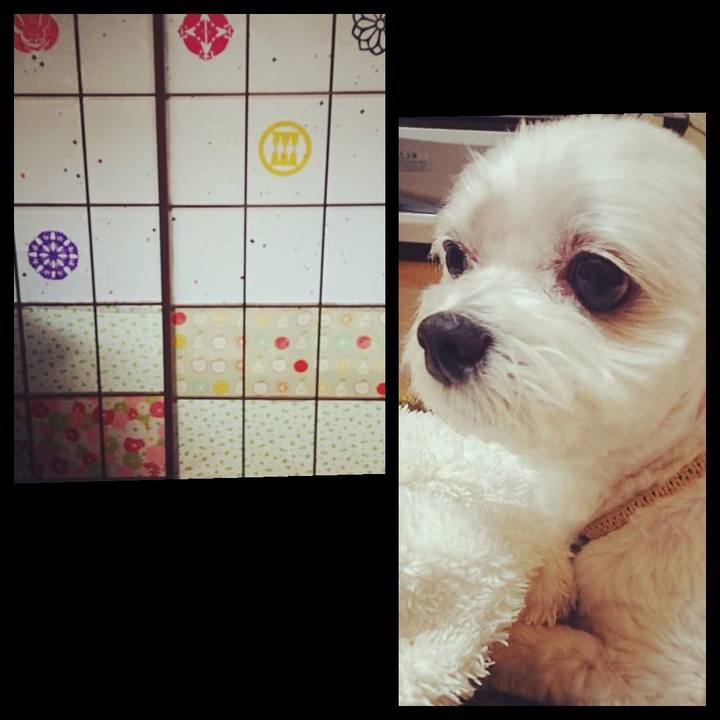 62536ce2 cd66 43a2 b53b 9c7b18a01e85 1544687245228