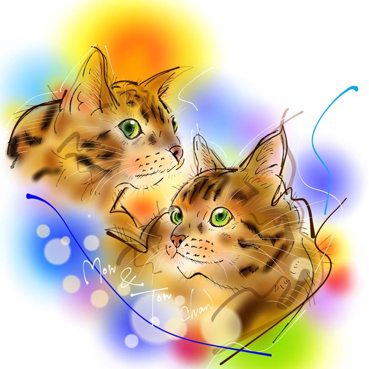 62538295 6121 4508 b86c d0f71f02b391 1653399559027