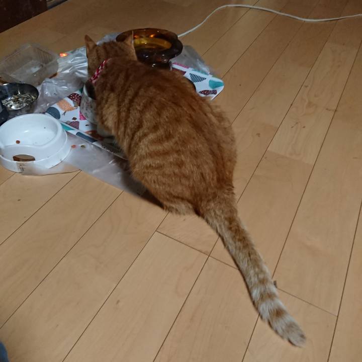 62539918 9c89 4250 ac26 bc898a327e52 1598040897453