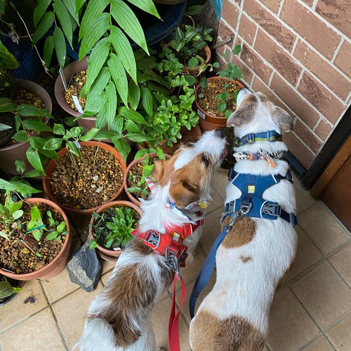 62539ea9 04de 421f 8bba a90ce42f75e6 1660433775799