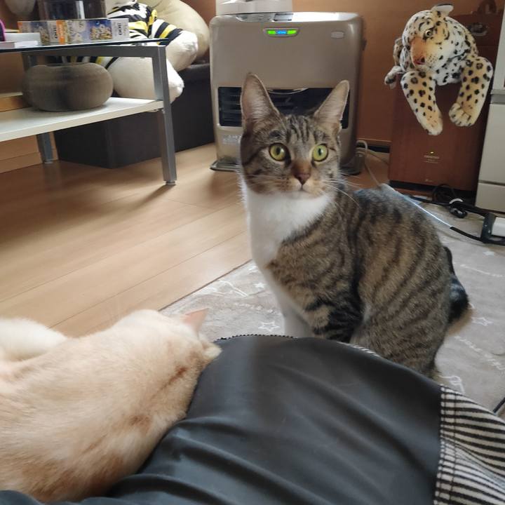 62539fcb 4fb1 4af4 88c2 110060f6ffeb 1670385766698