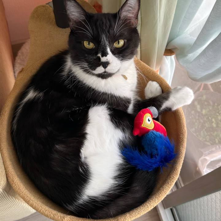 6253a3a2 9bda 42f4 b68f c851f9d66208 1762168615180