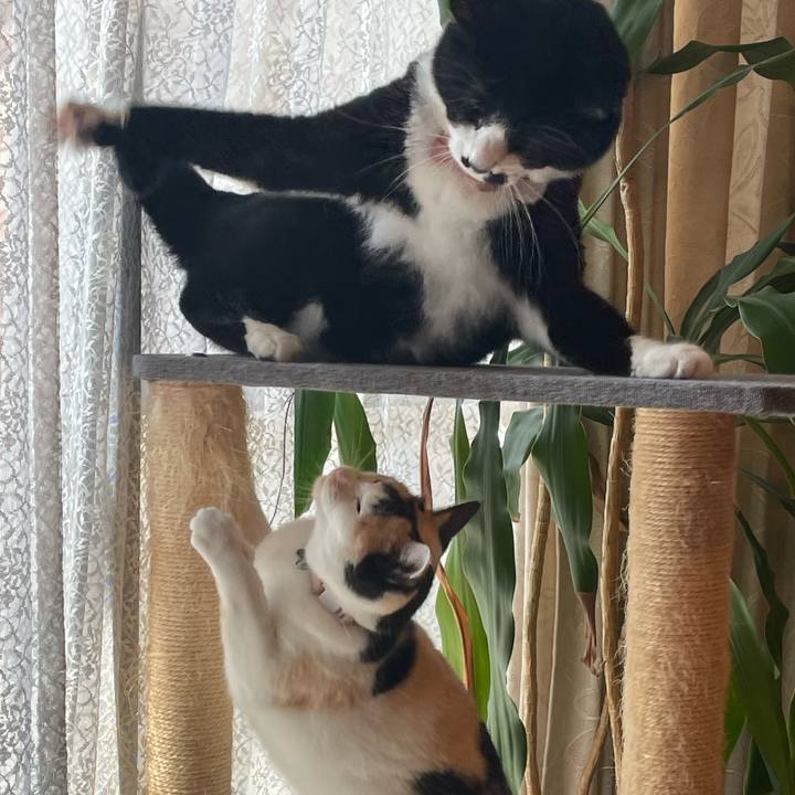 6253cd5c 52e3 46d7 97df ce5eaa03c4b0 1753574939409