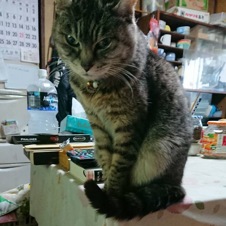 6253d261 4378 420e 8f31 777bd714f109 1552079802563