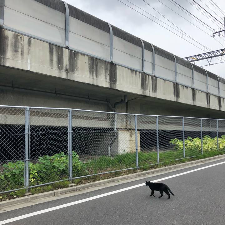 62541c4c 168e 4b25 b5f8 1c87f63a5bdc 1564045320102