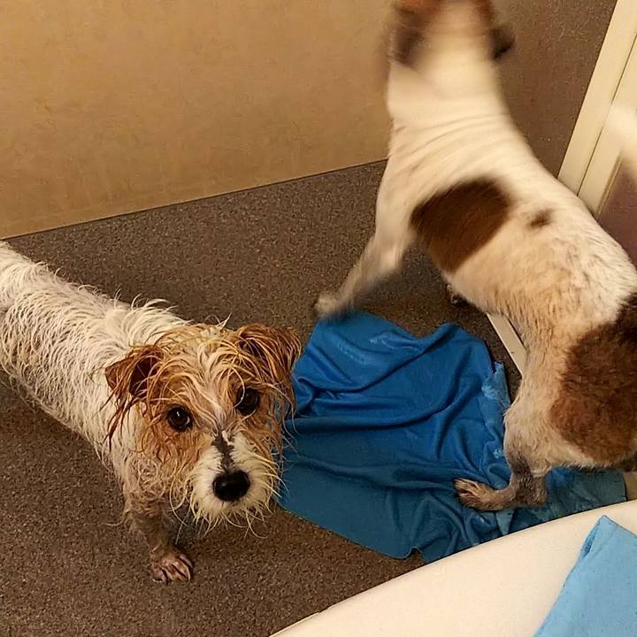 625433c9 c998 41f9 9623 49fd3b56e3f2 1574597070365