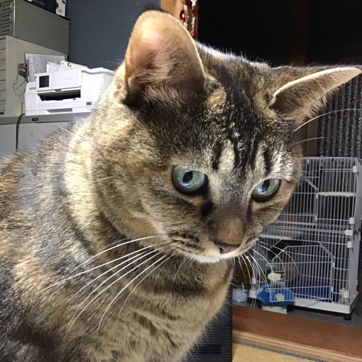 625439bc 4a1f 4383 814c d2a367ec3ae8 1701690160383