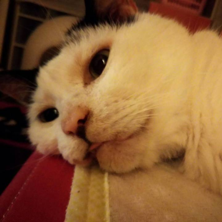 62543fe0 2c84 4264 a171 6b6048ae694f 1567679023786