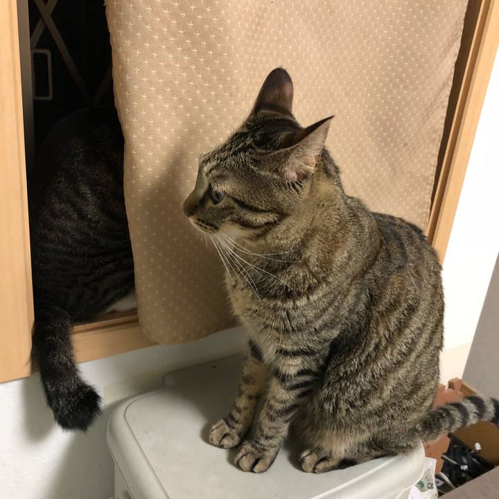 62544633 2a13 4857 8ccc f65c4235e9f5 1532064429676