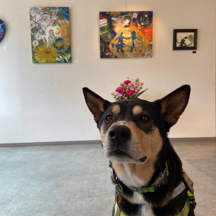 62544bfd d537 46d5 98c6 7fd60817d6f8 1679460863580