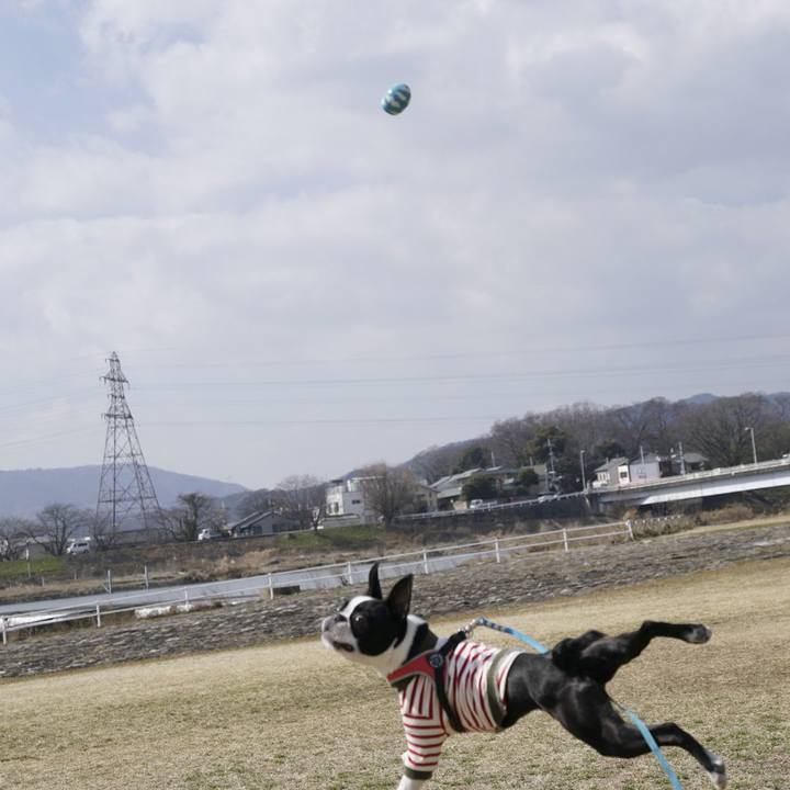 62544d59 b346 4b2d 9c92 1396c1e79b3c 1519632737629