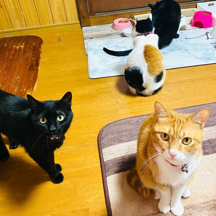 6254859d 1f58 4655 80d1 cb5d3ebbe97f 1719129505907