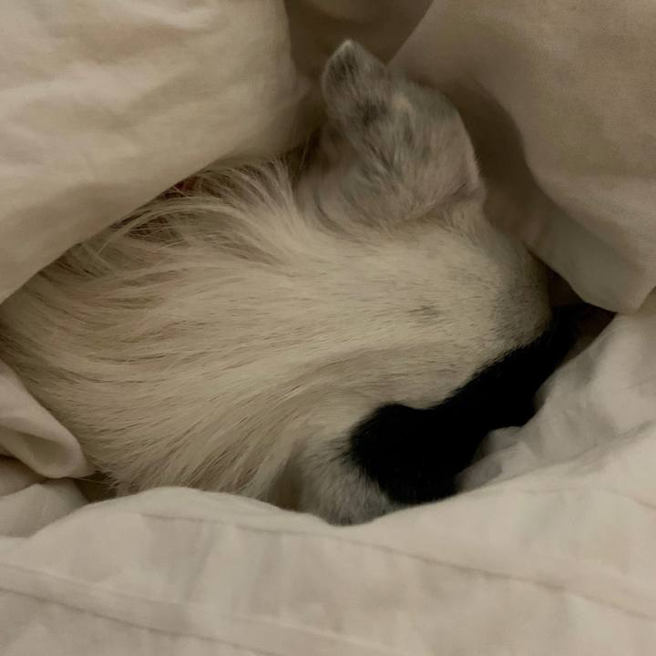 62549c58 7617 41e6 82ab 40ae3a2024fb 1553611065125