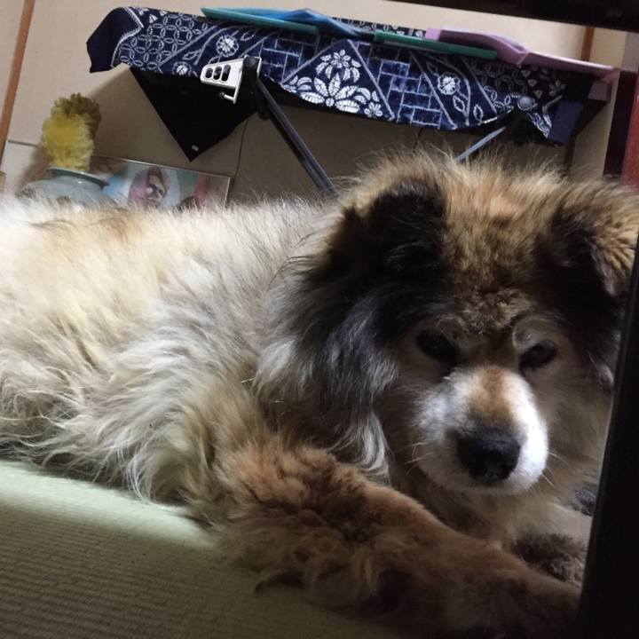 6254a051 91c4 4467 922f 1fa22076636d 1564112814431