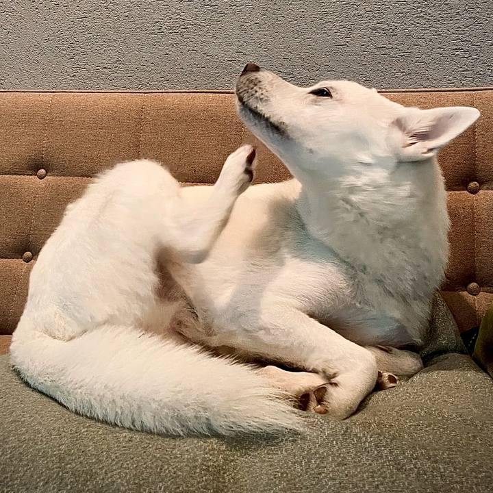 6254a086 83b9 4fcf 9520 8555aaae19e0 1648807310587