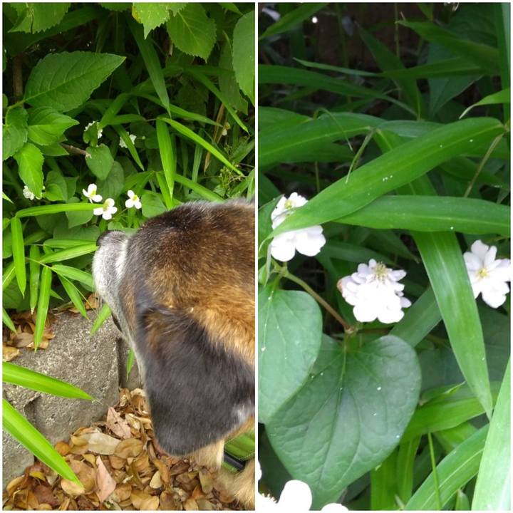 6254bb6b 836d 4cea b7f6 d367f9564888 1559002062255