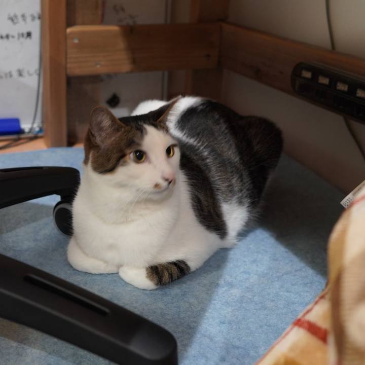 6254de7c de41 4c5c a78d 6825a4d9a0cb 1587088510879