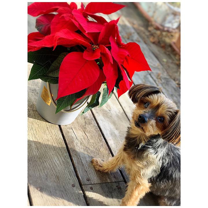 6254fe21 438d 43d6 8066 3d55ed9b6338 1639348812519