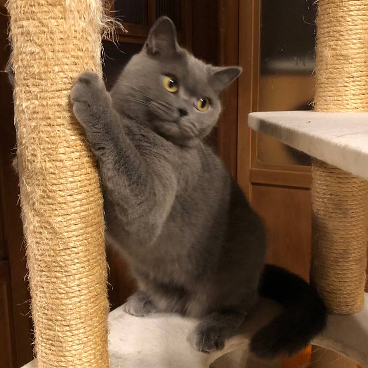 62551526 5aed 45c7 b9c6 7808df2389f9 1573441228433