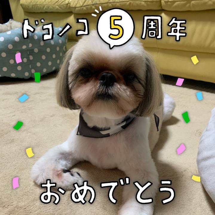 62552e9d d887 44fe a002 5bae39472d82 1622886368545