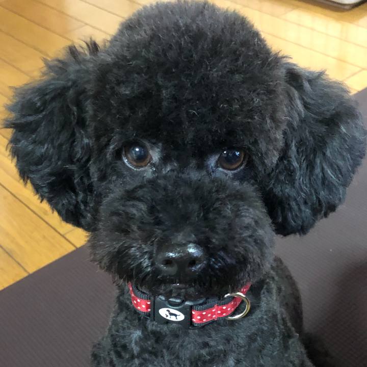 625530b3 f99a 43ab ab2f 4631c83cfe21 1566705329667