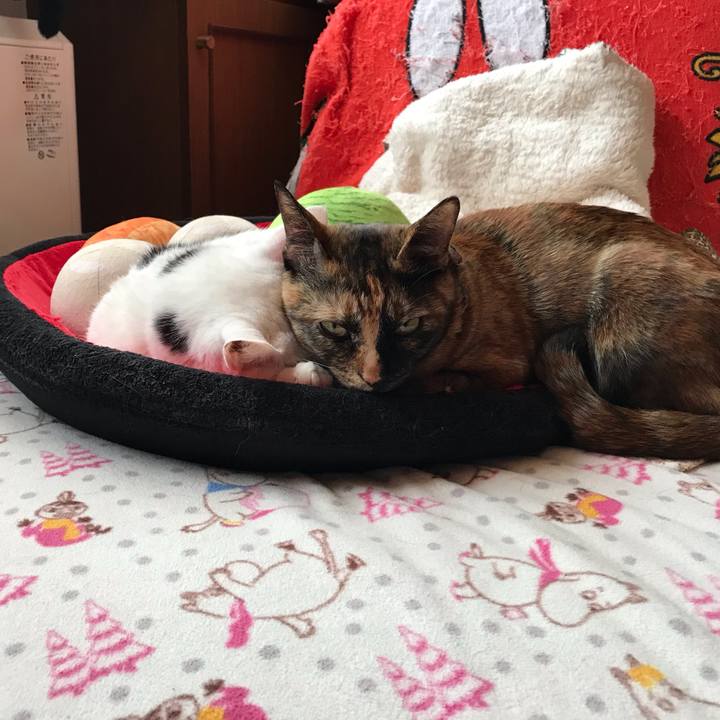 62554e23 09d1 4e03 9ab2 744e120e89a1 1645946747896