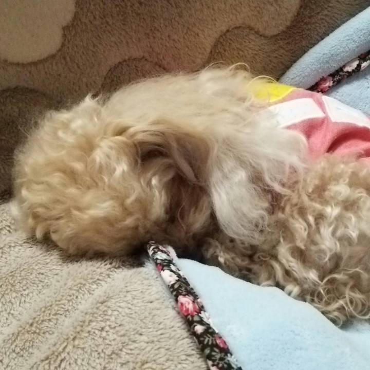 625573ba 9a5b 4218 8e48 6fd411f93d18 1524144787712