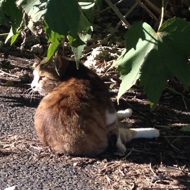 62558748 c155 4d47 9e6f fd26eea6ea5e 1511256370450