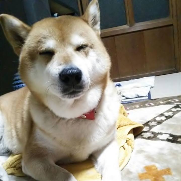 62558b37 f64a 4f3b 861c c6e8ec40a1e4 1511954055949