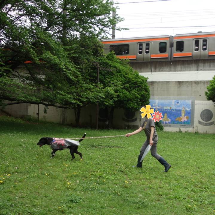 62558d4f d0fb 48cf acba 3ec2ba78b141 1651019308583