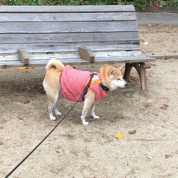 62558f75 c581 4a56 96ad 60d96e82c6b5 1576720072482