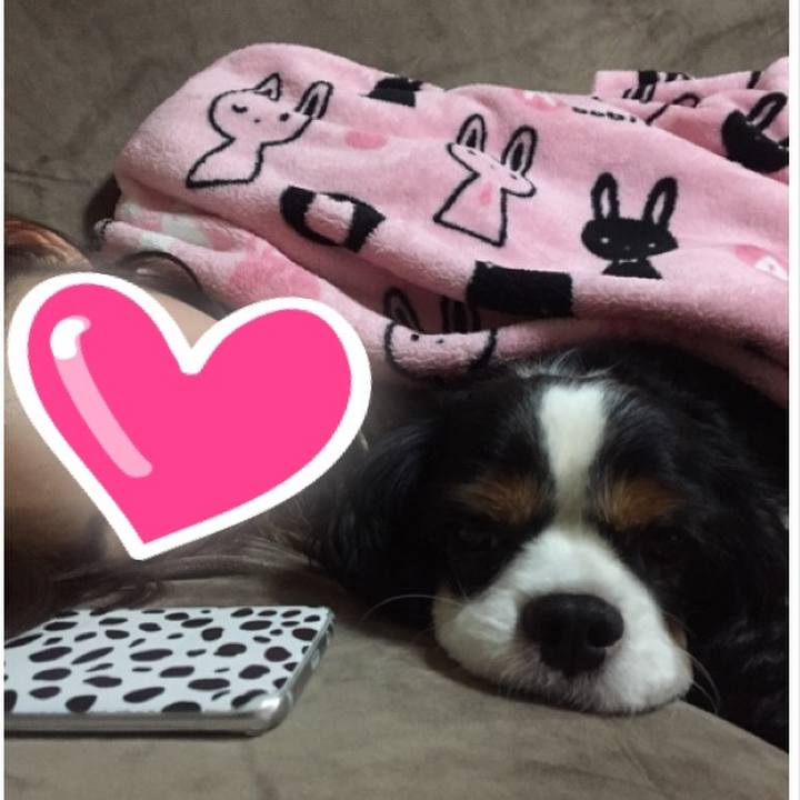 6255b928 8082 4d70 ba53 8cca14c05aa3 1509283101583