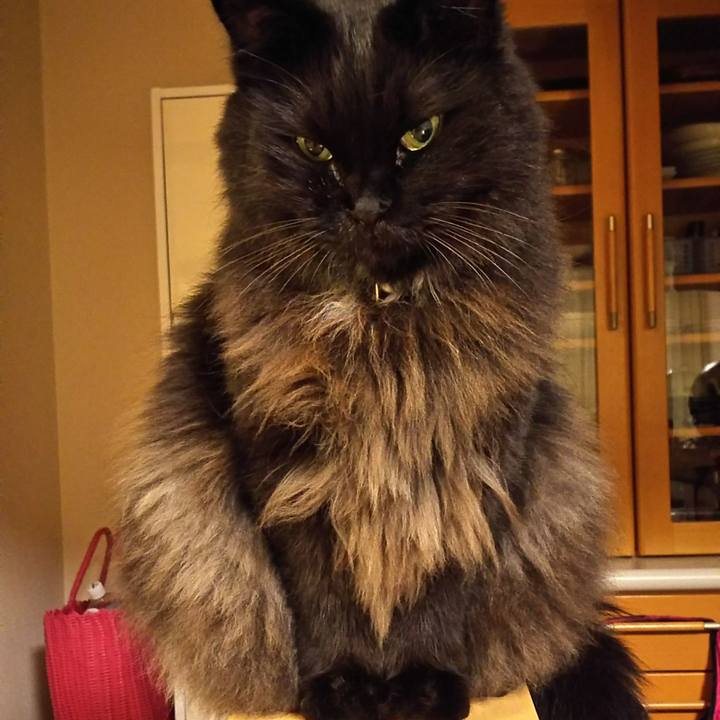 6255c4a0 b328 483b 8780 5ac47ac64e23 1510049158968