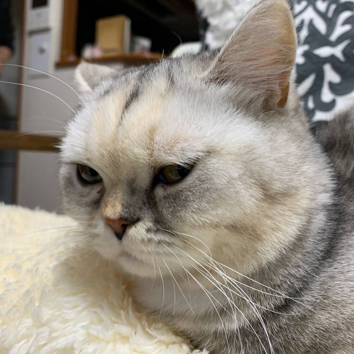 6255d538 1855 4338 baab d106099ff587 1709902056738