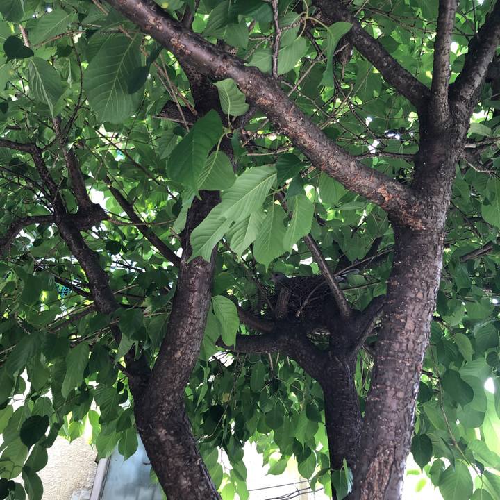 62560fd9 2924 401b bb2c 9ba0e18d7f0e 1617408433998