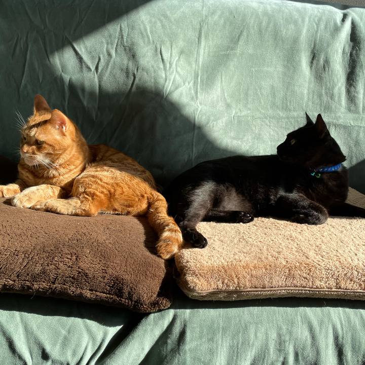 62561524 95b4 4f11 aa49 7253930eb262 1633177670700