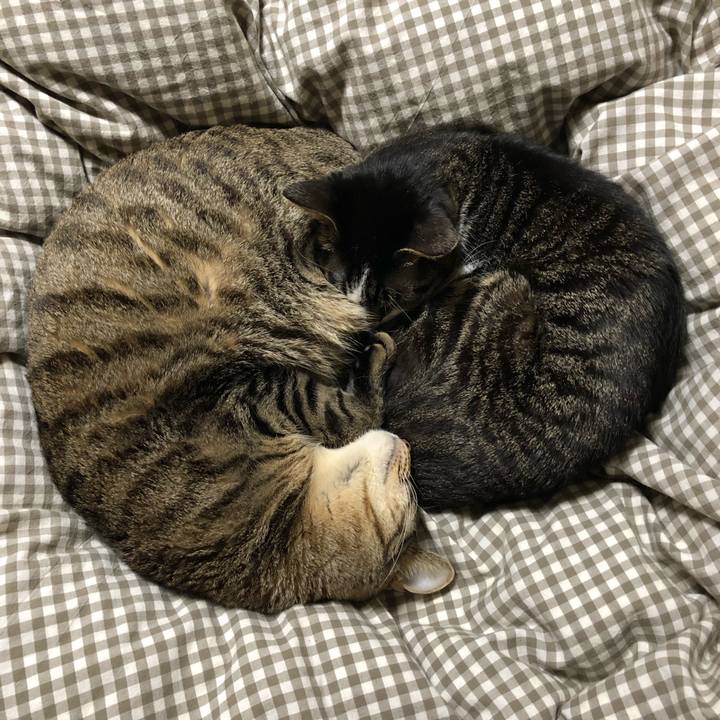 62563e83 953f 44b9 bbf6 45d889157a35 1544299899372