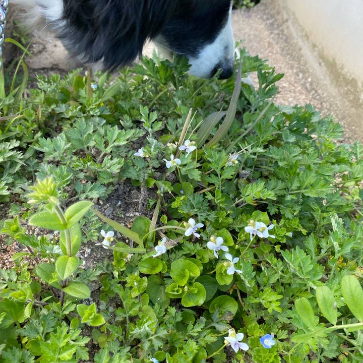 62567a42 dce8 486a bbc9 d90784893629 1616635106874