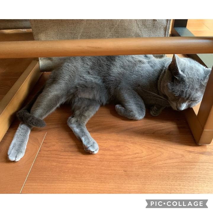 6256b6c3 d611 46e5 9099 6823848f8fca 1622353113314