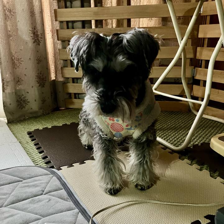 6256ce6d ef2f 435a 8940 a289d178d0f1 1773525802944