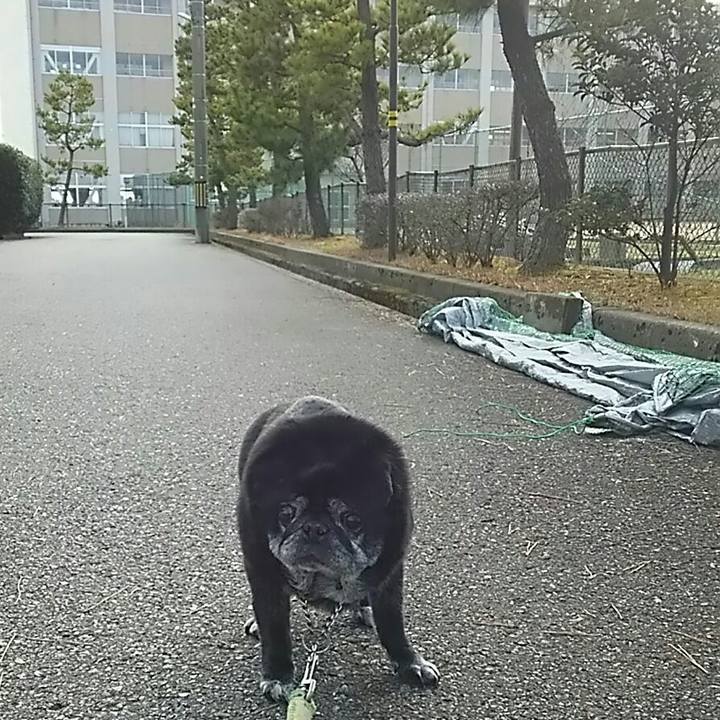 625701fa 0781 48cb 95c1 3760a8a493ee 1549433506589